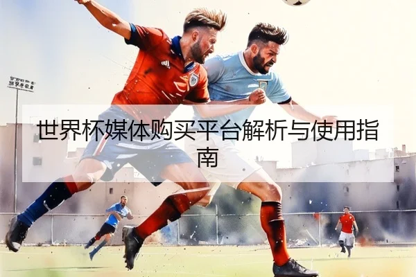 世界杯媒体购买平台解析与使用指南