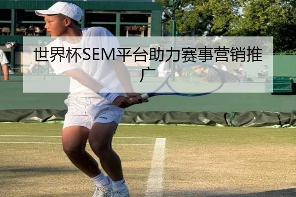 世界杯SEM平台助力赛事营销推广