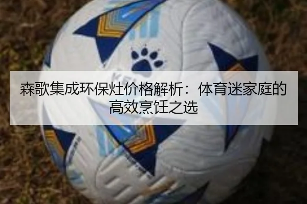 森歌集成环保灶价格解析：体育迷家庭的高效烹饪之选