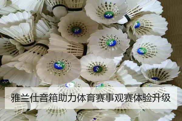 雅兰仕音箱助力体育赛事观赛体验升级