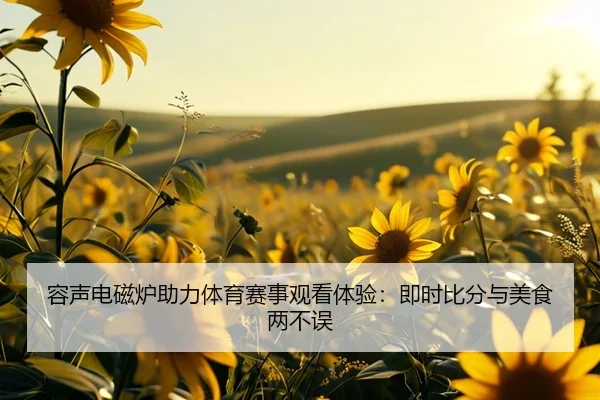 容声电磁炉助力体育赛事观看体验：即时比分与美食两不误