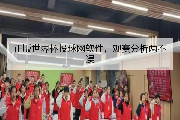 正版世界杯投球网软件，观赛分析两不误